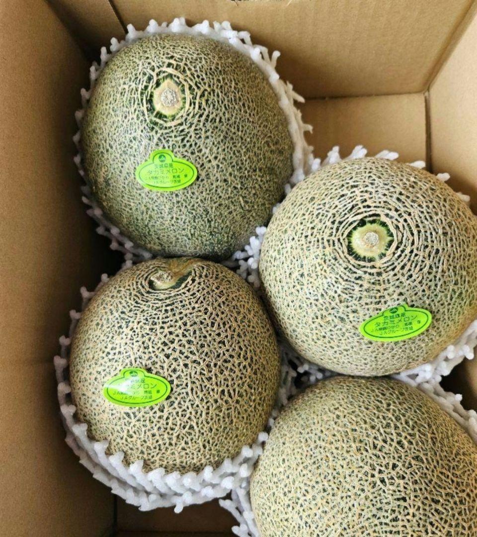 スーチャン⭐送料込み　タカミメロン　5玉