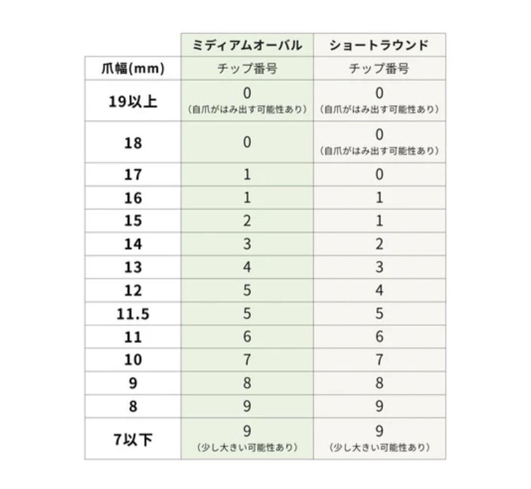 エバーネイル　ネイルチップ