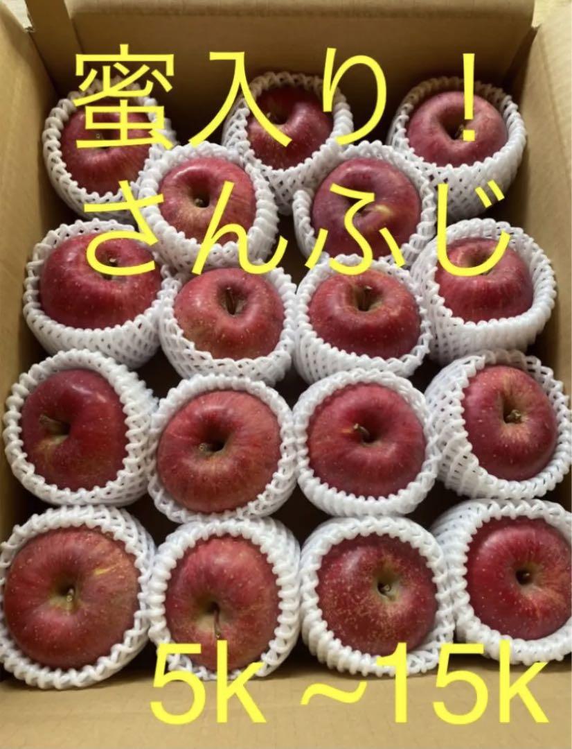 長野県産　サンふじ　りんご　蜜入りかも！　良品　5〜15キロ 長野県産 サンふじ りんご 蜜入りかも！ 良品 5〜15キロ