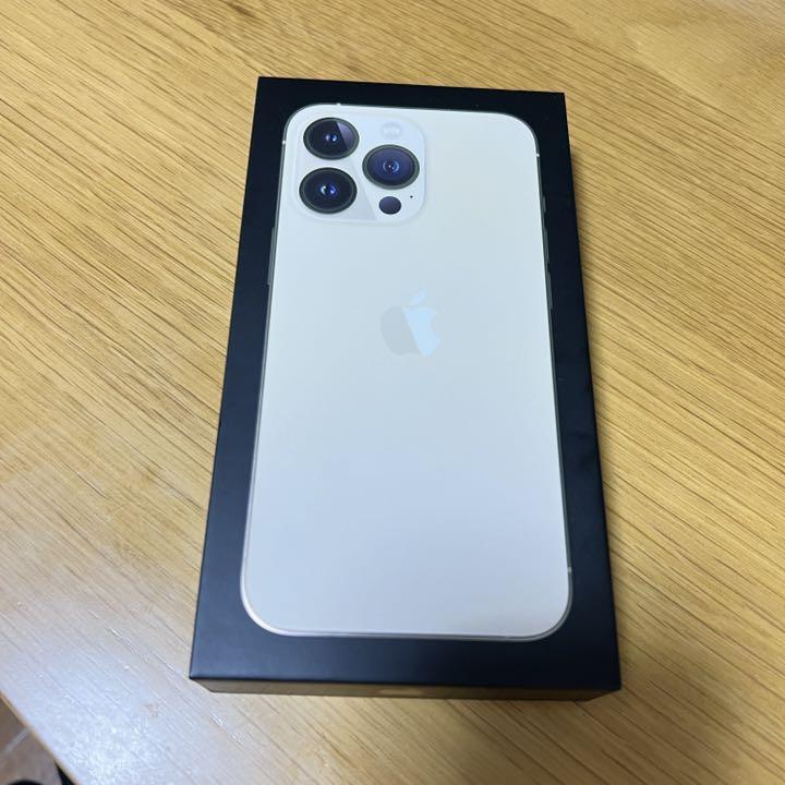 a♡*様専用 iPhone13Pro ライトニングケーブルケーブルタイプC