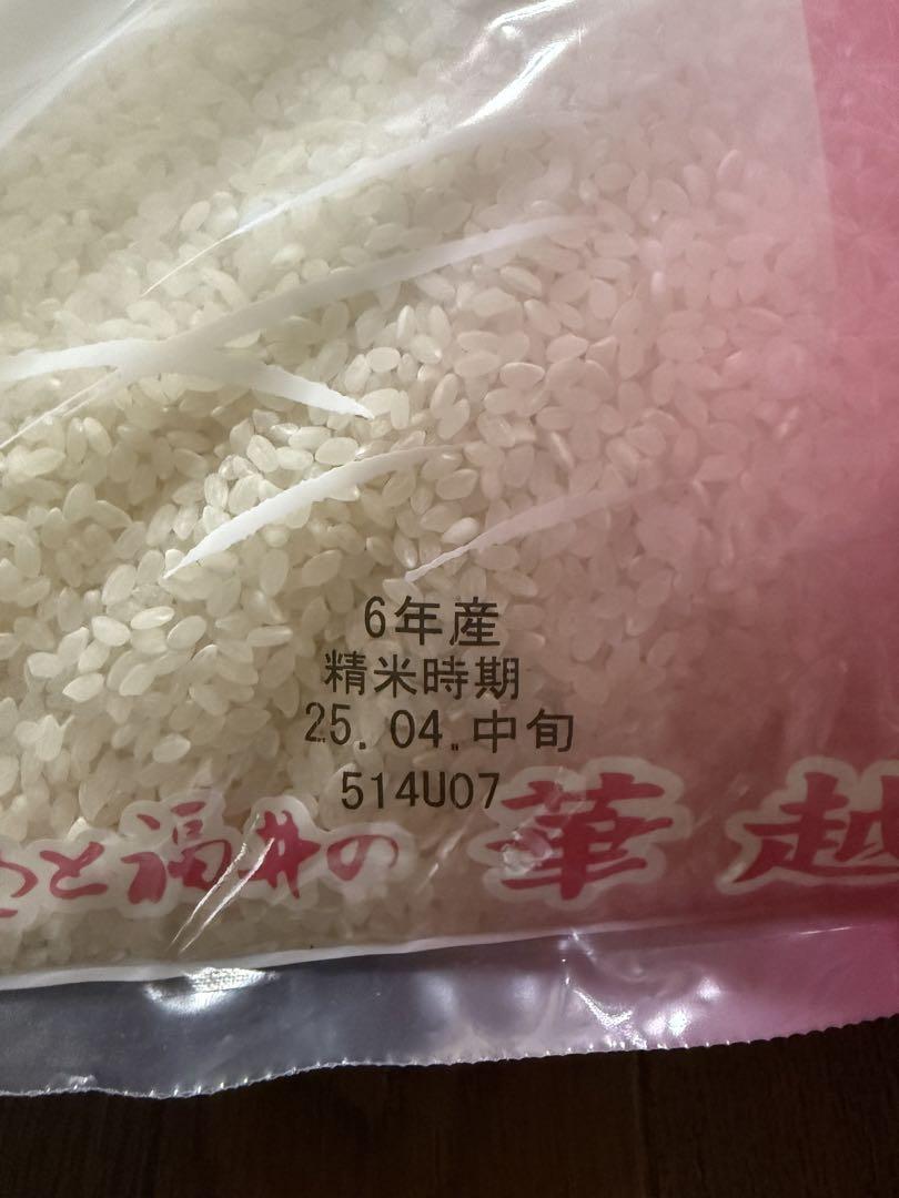令和6年 10kg 福井県産 精米　ハナエチゼン
