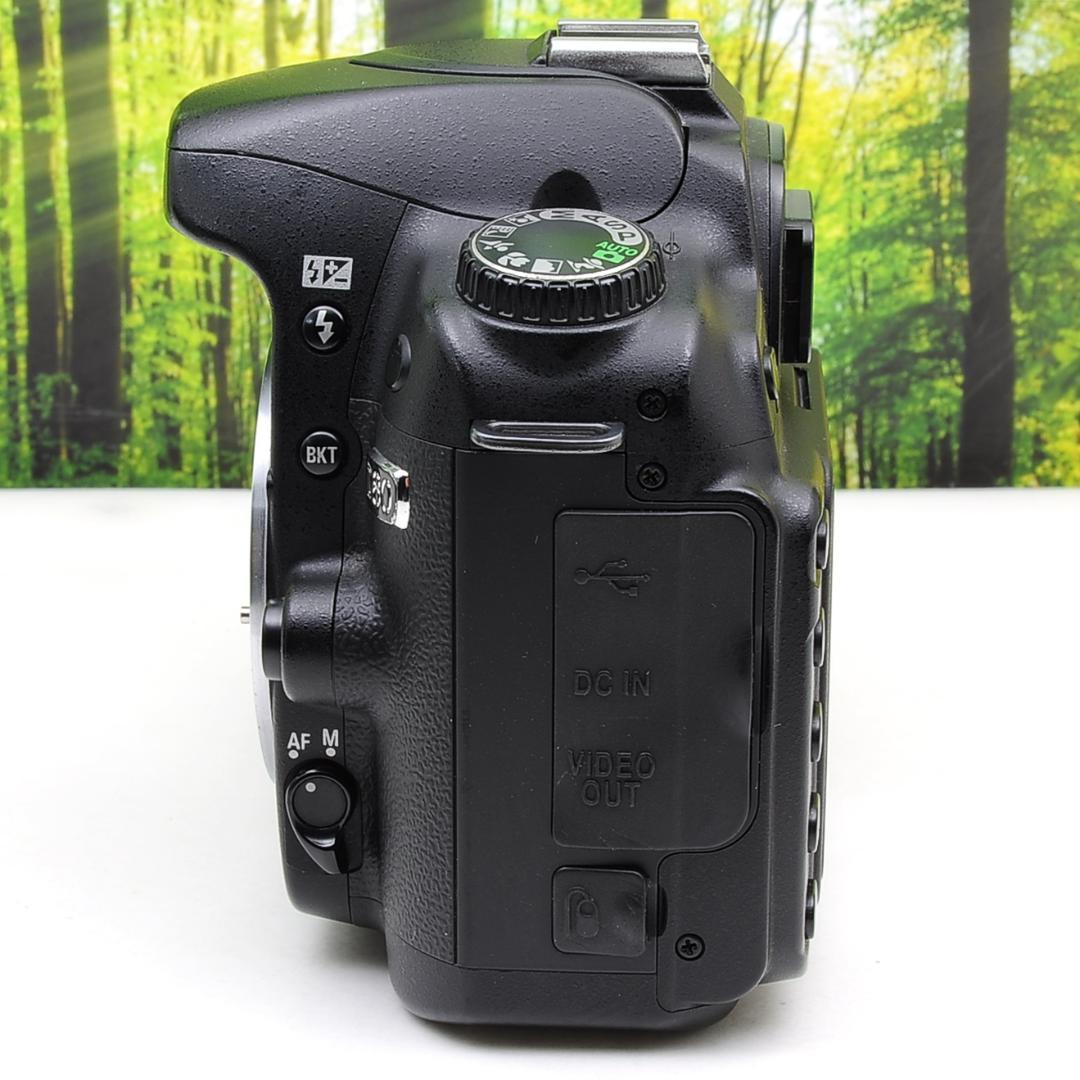 Nikon D80☆スマホに転送OK☆色鮮やか一味違う一眼レフ☆2643
