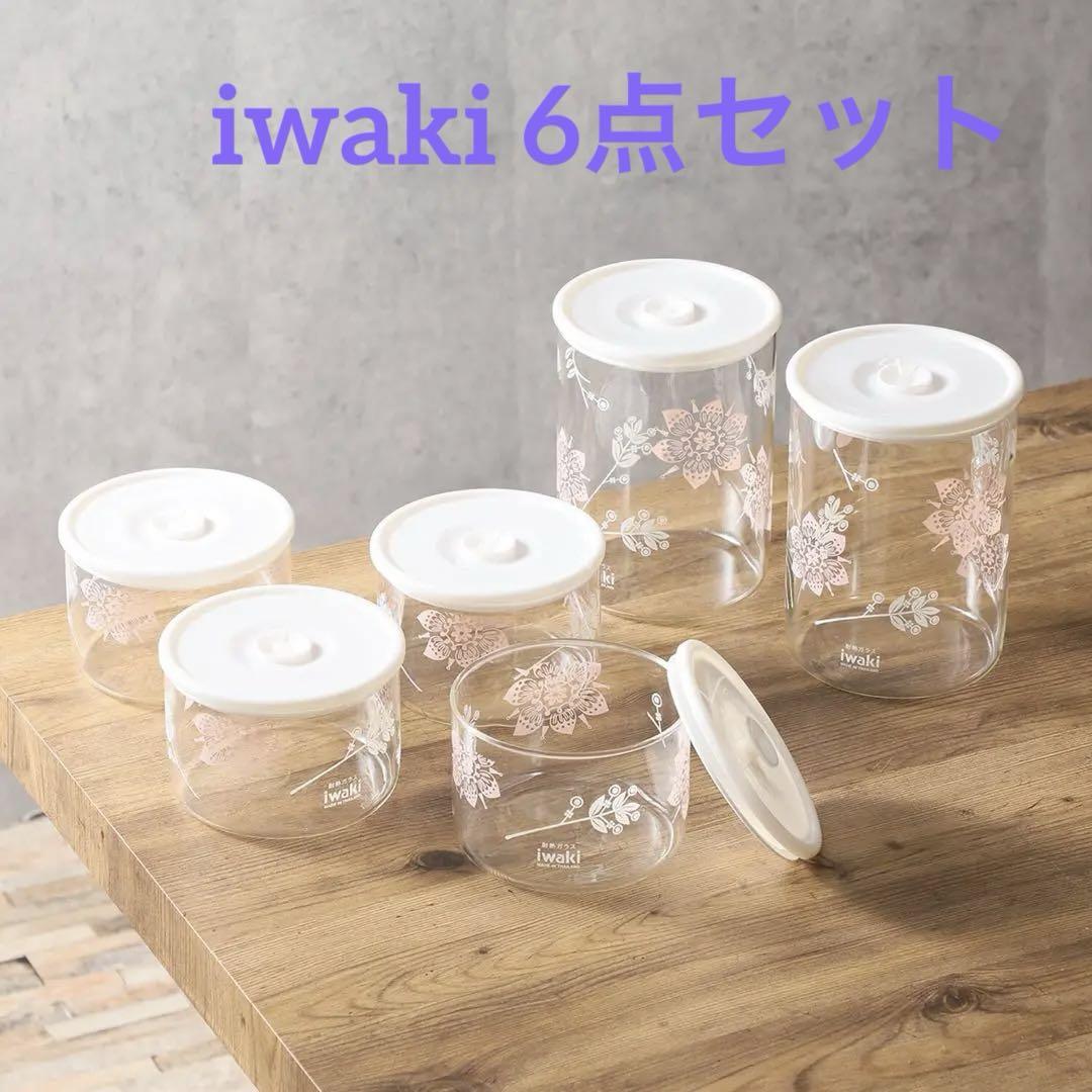 イワキ 気軽に使える 密閉パック＆レンジ  ２サイズ６点セット
