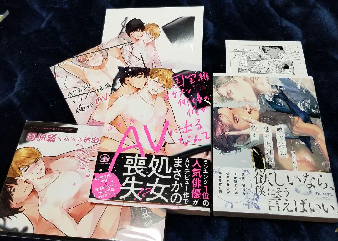 BL 国宝級イケメン俳優の俺がAVに出るなんて 暁の鳥は濡れた月に跪く 新刊 chateauduroi.co