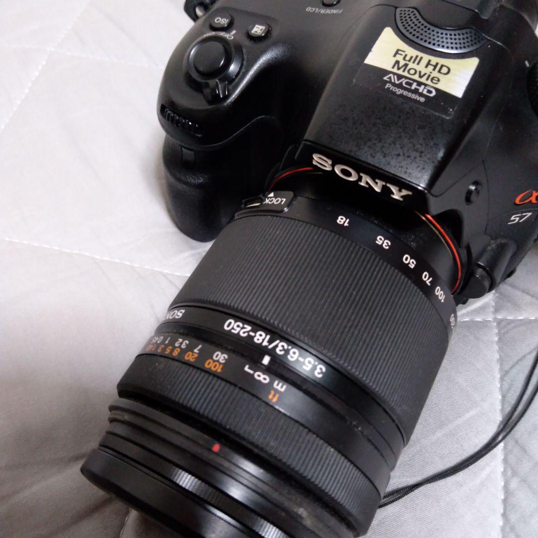ねじまき鳥　Sony α57 デジタル一眼レフカメラ