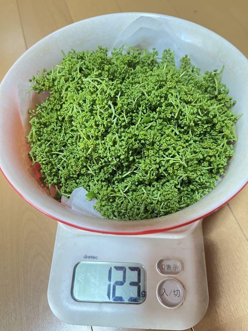 花山椒　青森県産　120g