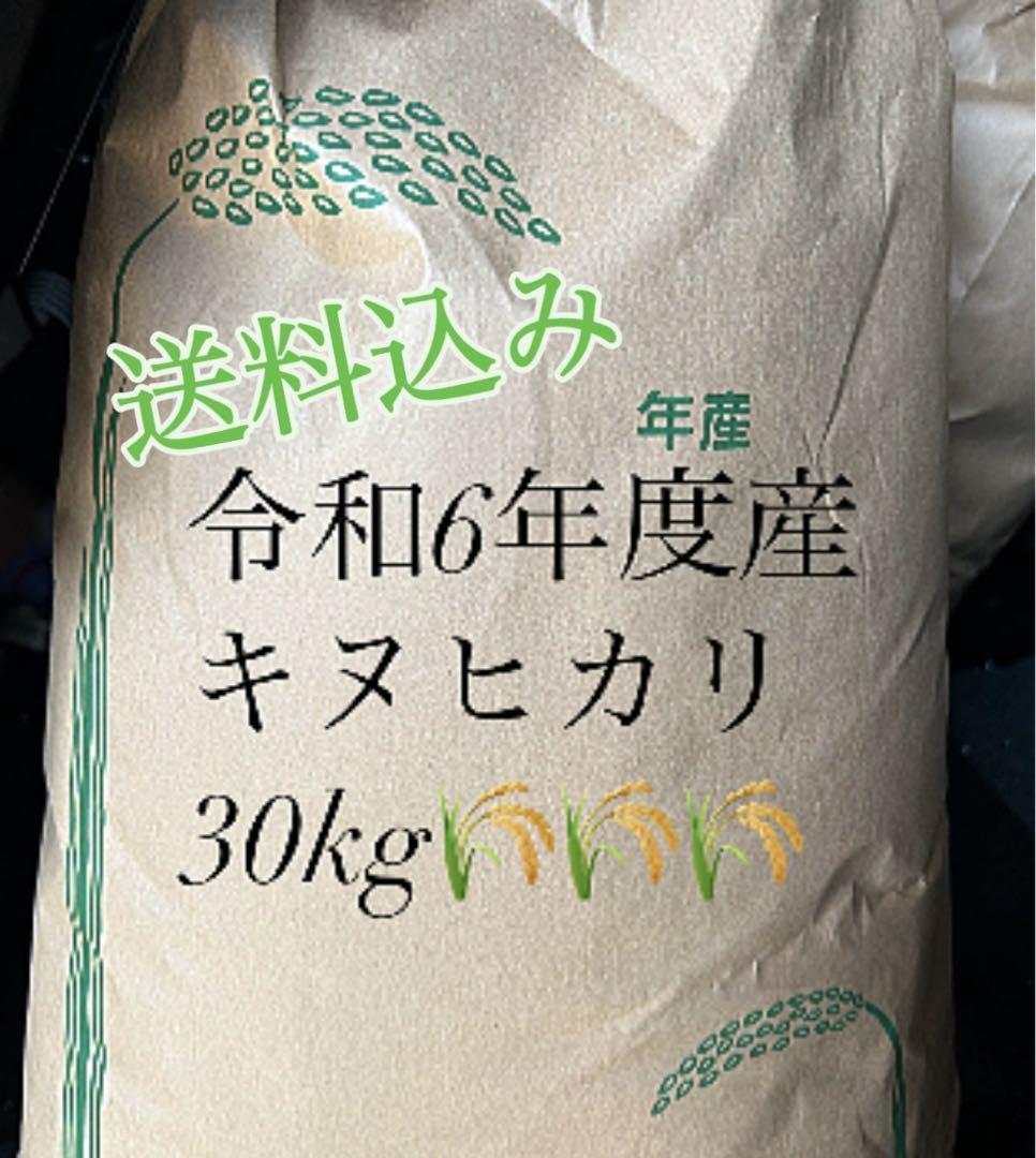 ハヌマン様専用【送料込み】令和6年度産　キヌヒカリ　30kg 玄米