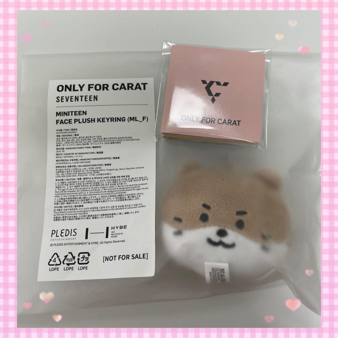 SEVENTEEN lovemoneyfame サノク キーリング スングァン