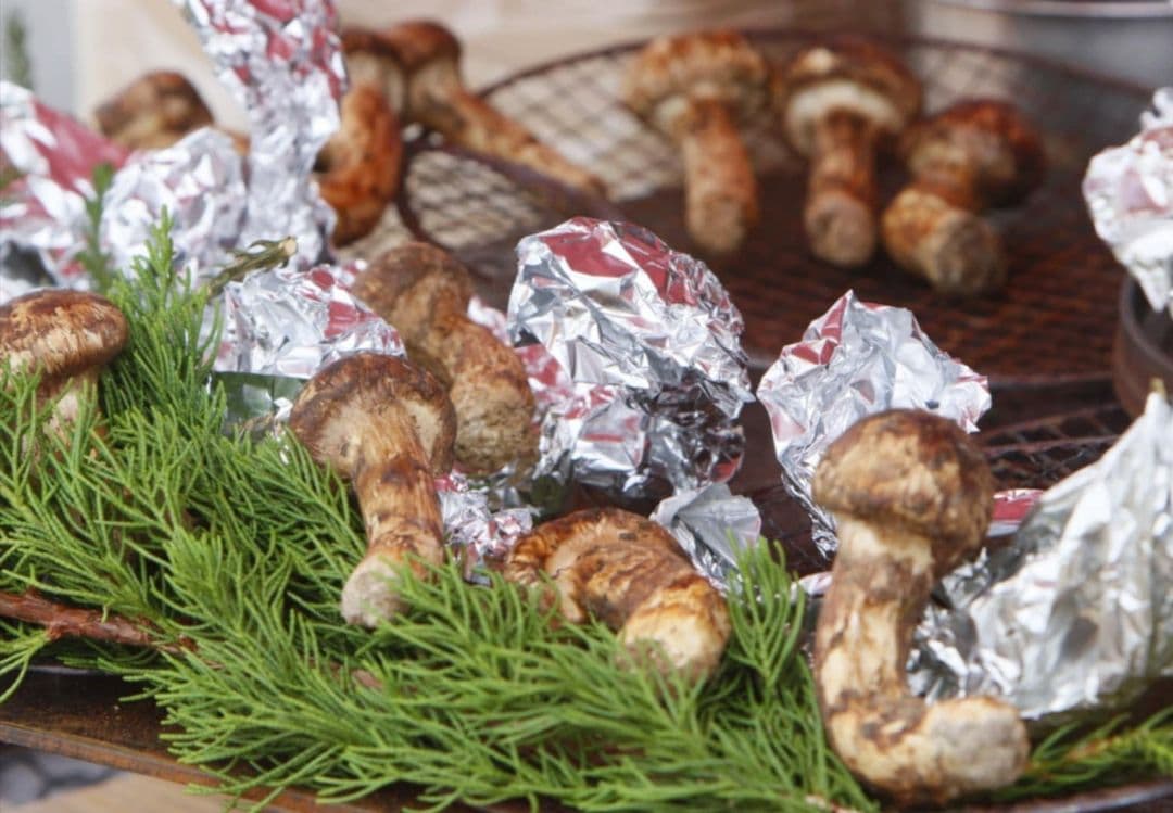 松茸　初松茸　予約