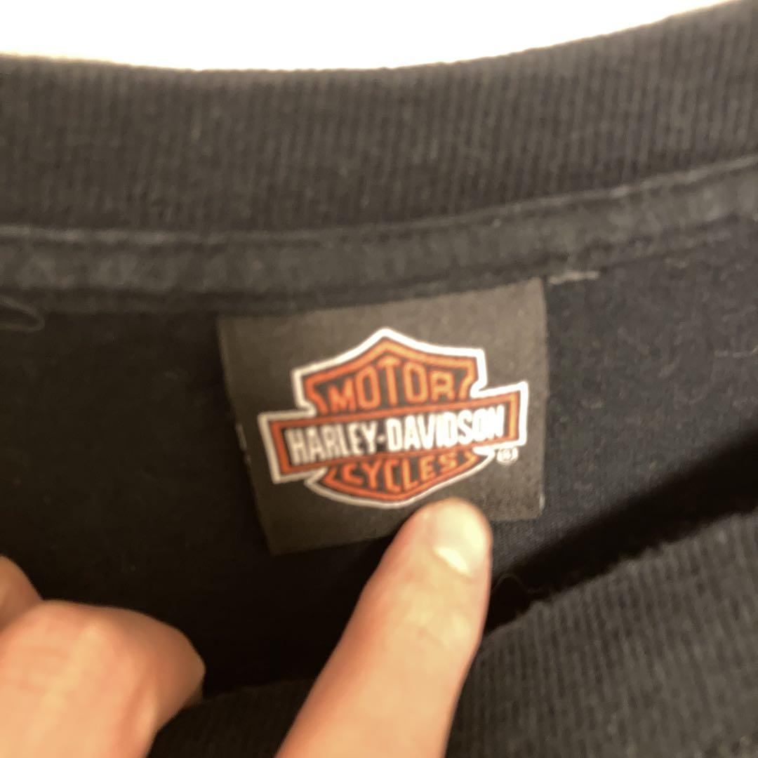 激レア　Harley-Davidson スカル ファイアー デザイン ロンT