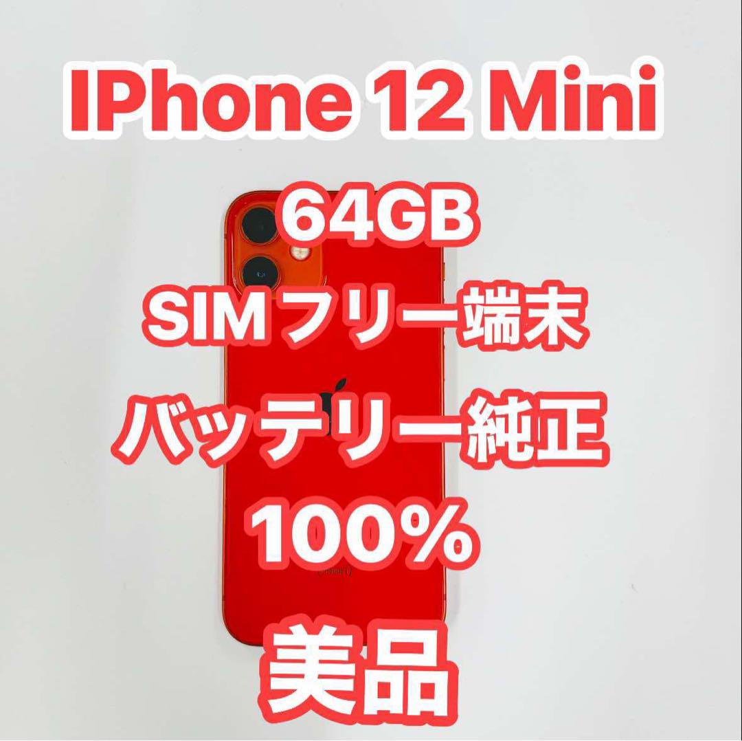 iPhone 12 Mini 64GB SIMフリー 美品