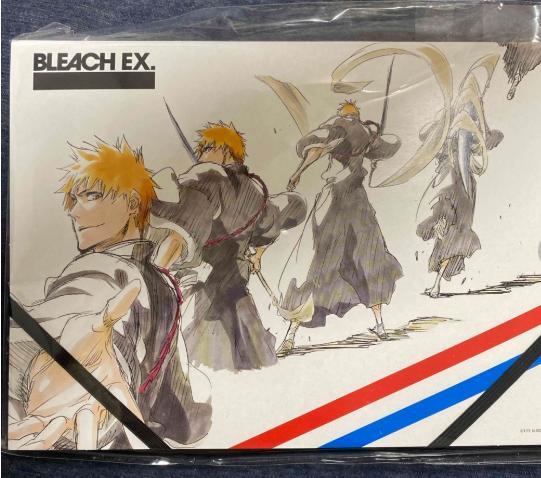 BLEACH EX 一護 イラストカード