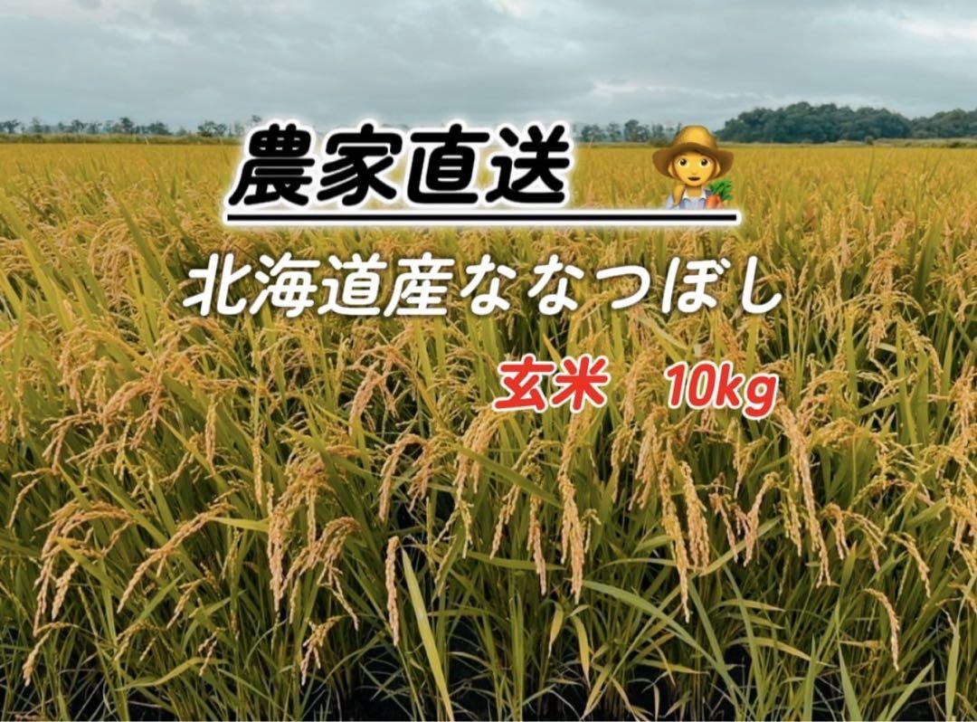 北海道産 ななつぼし 玄米 10kg