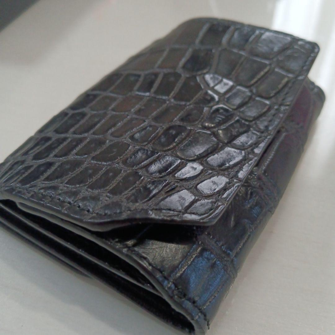 本クロコダイル