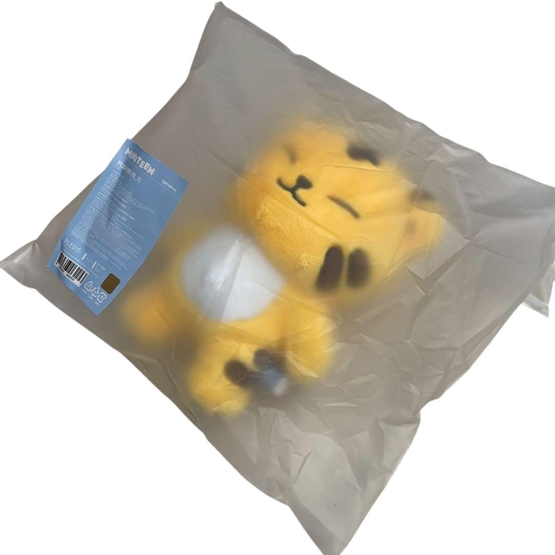 【新品】SAEVENTEEN MINITEEN ぬいぐるみ ホシ タムタム