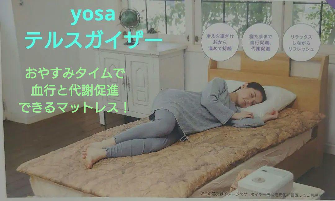 ✧値下げ✧yosaテラスガイザー※バイオパウダー1袋付※