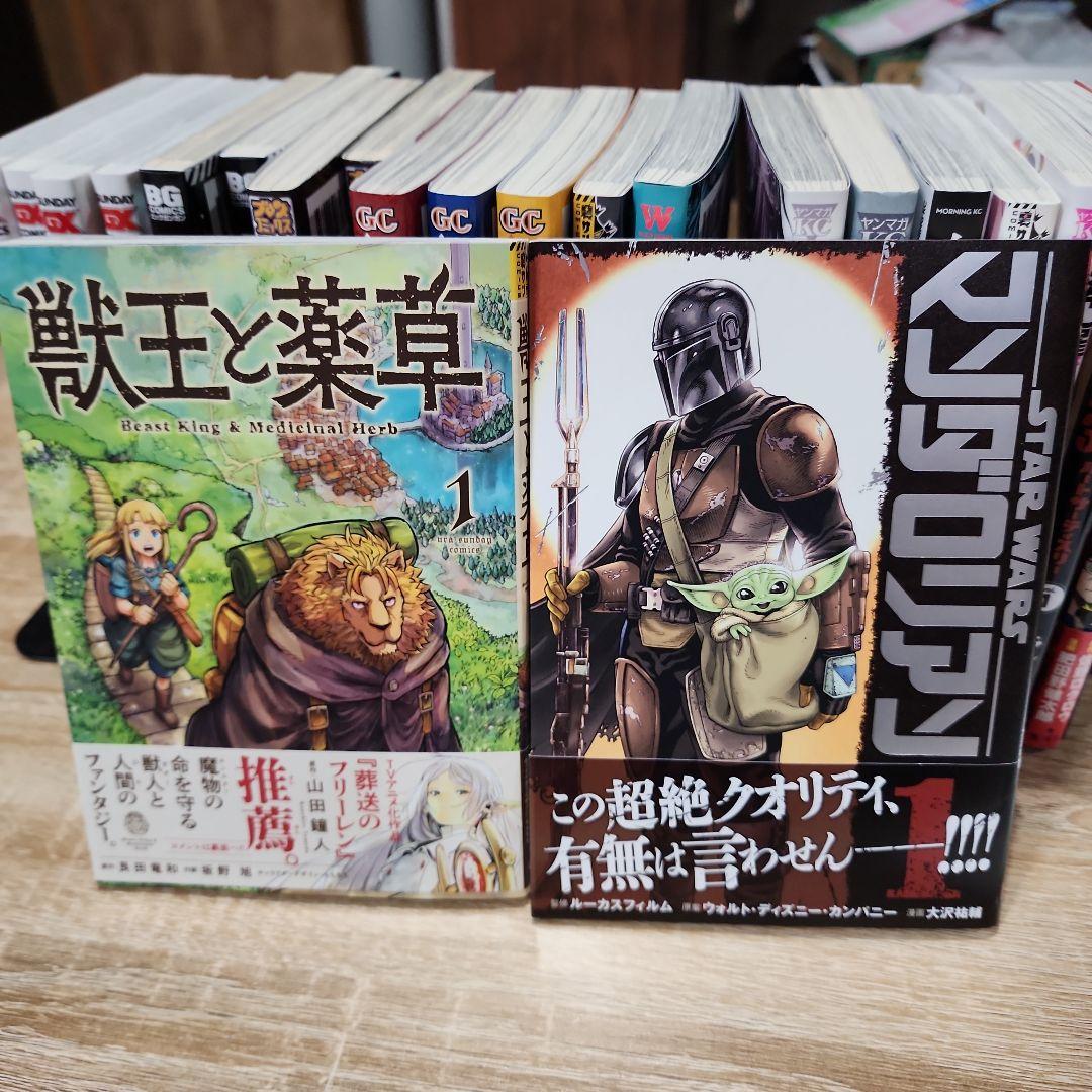 COSMOS。モスクワ2160。ライネージサーガ。そうだ売国しよう。他、計22冊