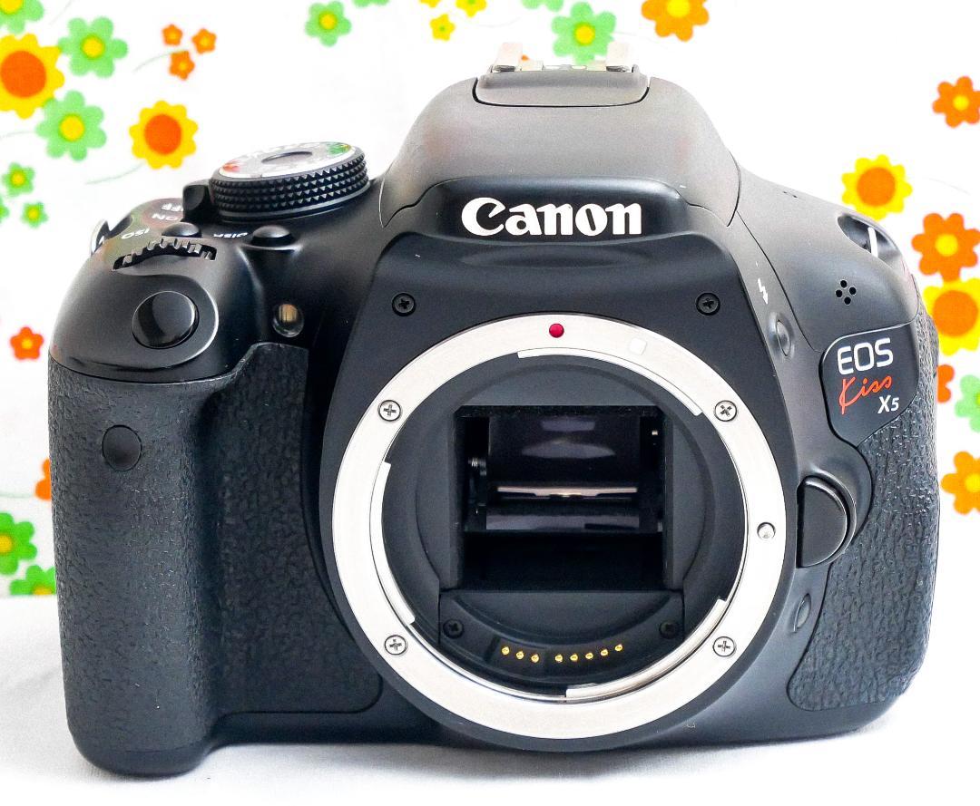 幻想的 美品 Canon Kiss X5☆スマホ転送!☆自撮り可能☆人気の一眼