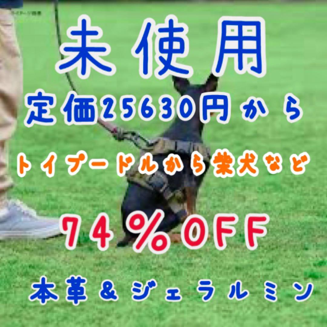 未使用 散歩の引きが強い犬想いのハーネス