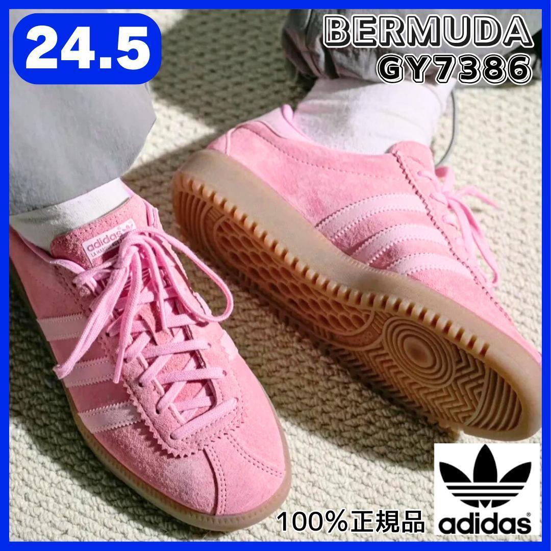 adidas BERMUDA バミューダ GY7386 24.5センチ　ピンク