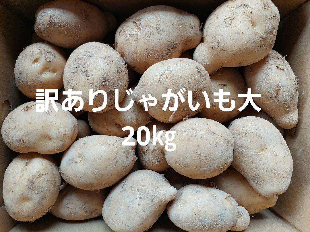 平日発送限定！長崎県産訳ありじゃがいも大20キロ