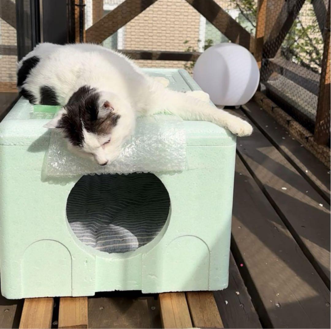 Tora's   外猫ハウス   大小セット Tora's 外猫ハウス 小サイズ2個セット - メルカリ