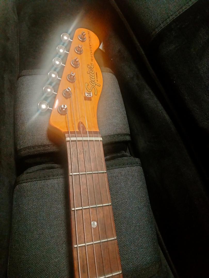 50本限定 美品軽量 Squier Classic Vibe Thinline