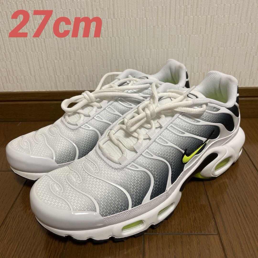 ナイキ 27cm エアマックス プラス