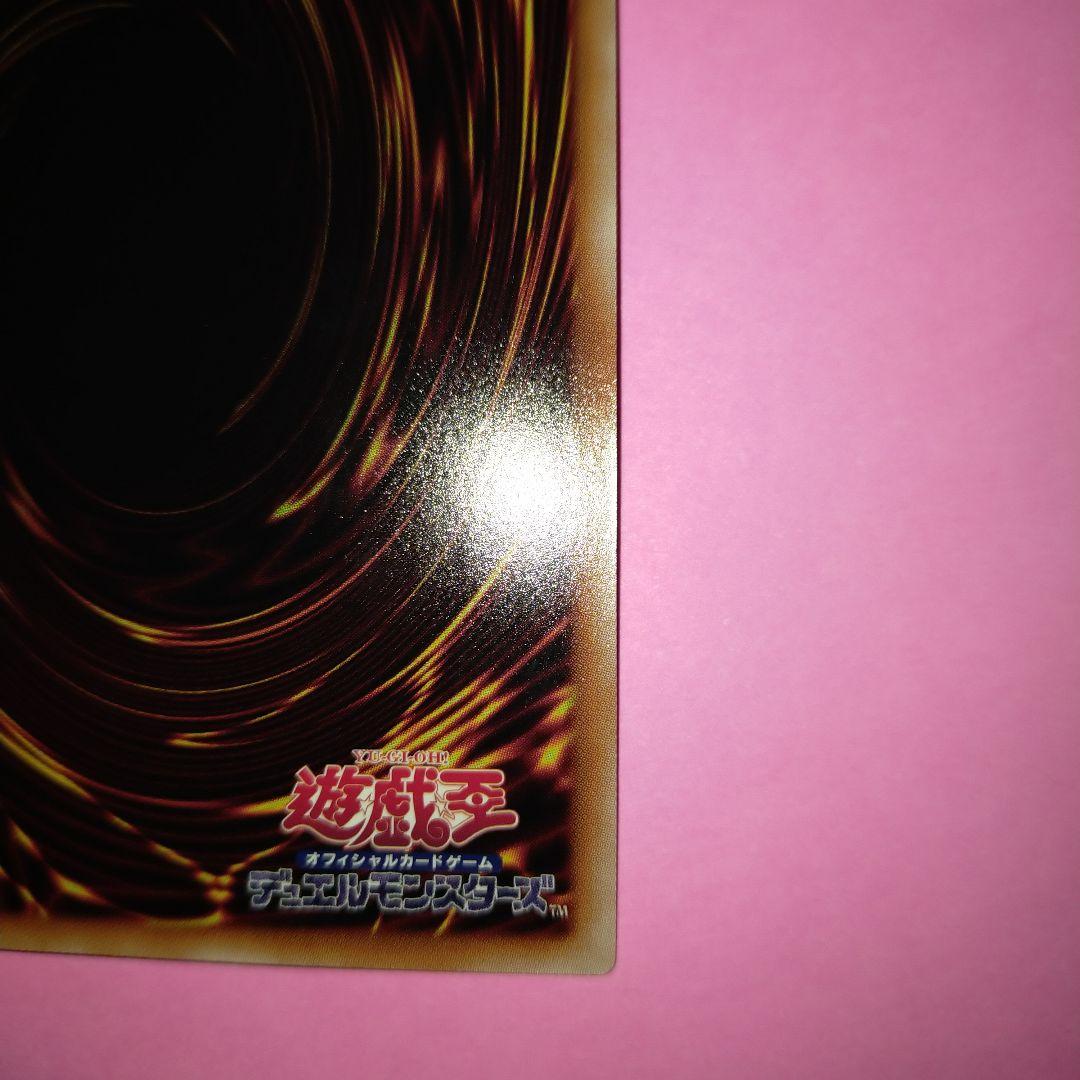希少美品✨　誇りと魂の龍　25thシークレット