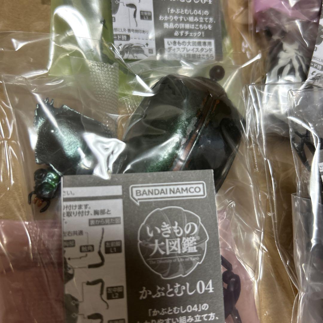 いきもの大図鑑　かぶとむし04