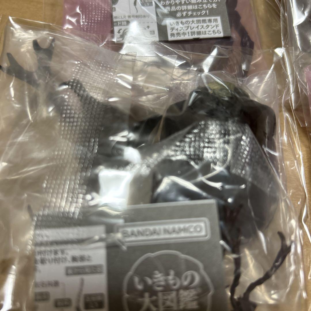 いきもの大図鑑　かぶとむし04