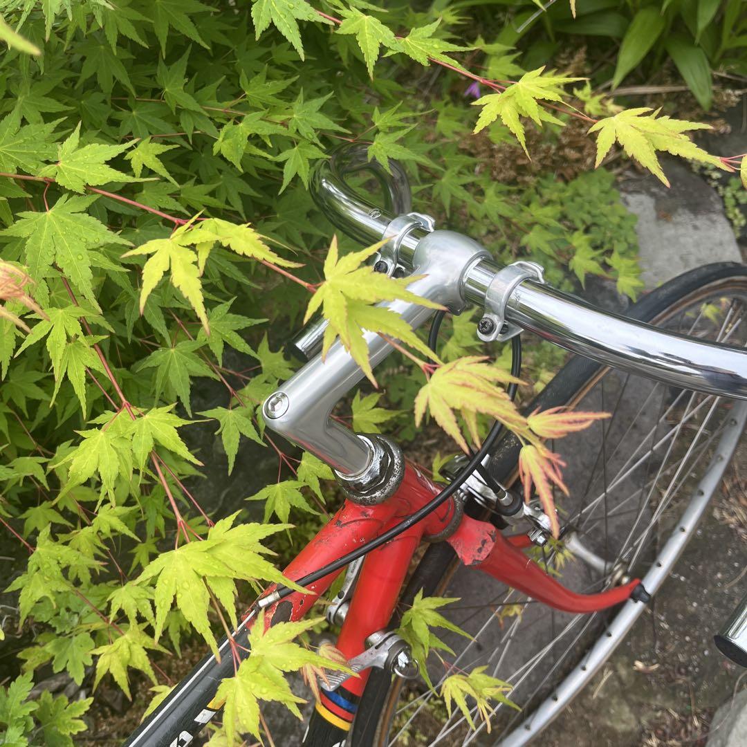 Panasonic PT-1000. FOR TRIATHLON クロモリ