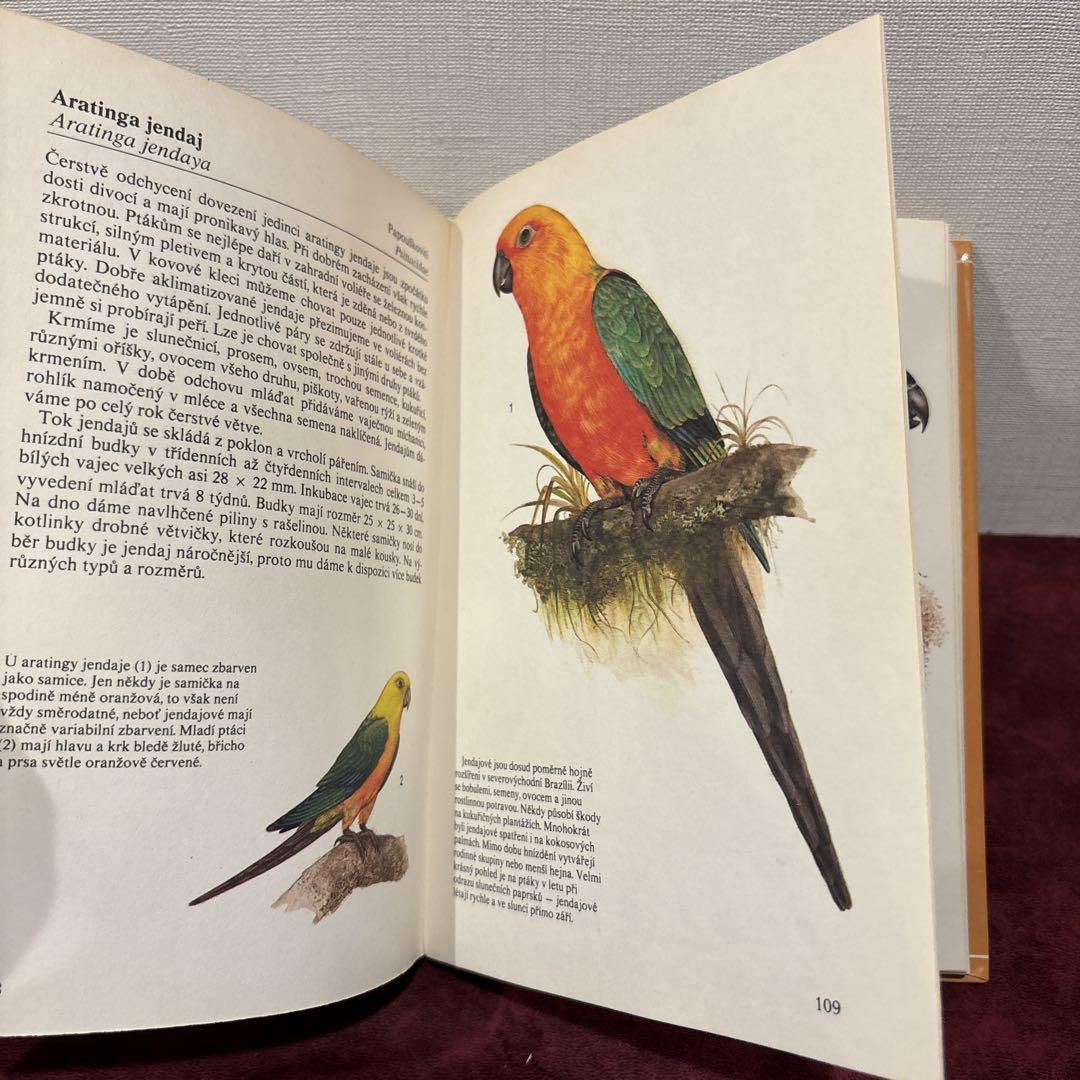 710B③チェコ鳥図鑑 洋書古書 ボタンニカルアート ビンテージ