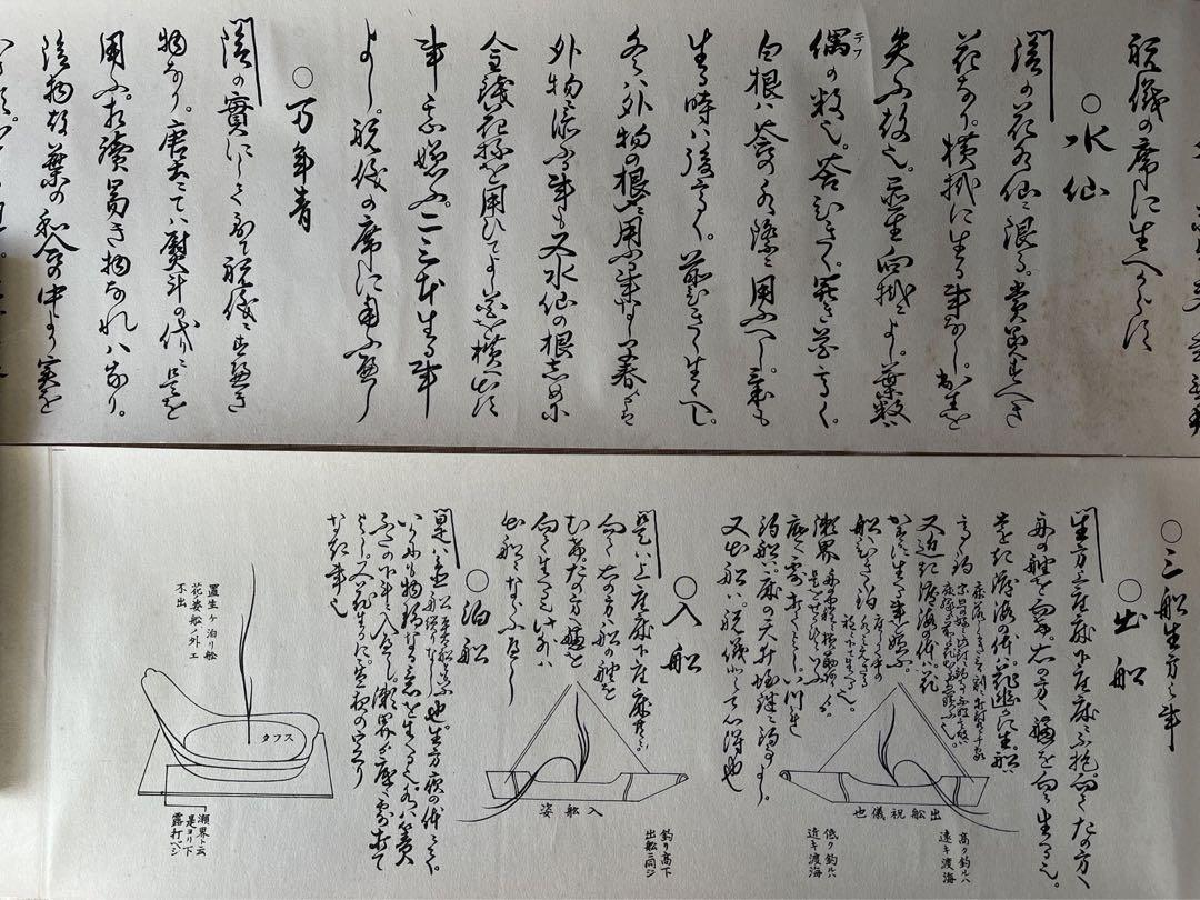 大和池坊 三室户 敬光 定式巻 廻生巻 巻物 4本セット 共箱 】書 華道
