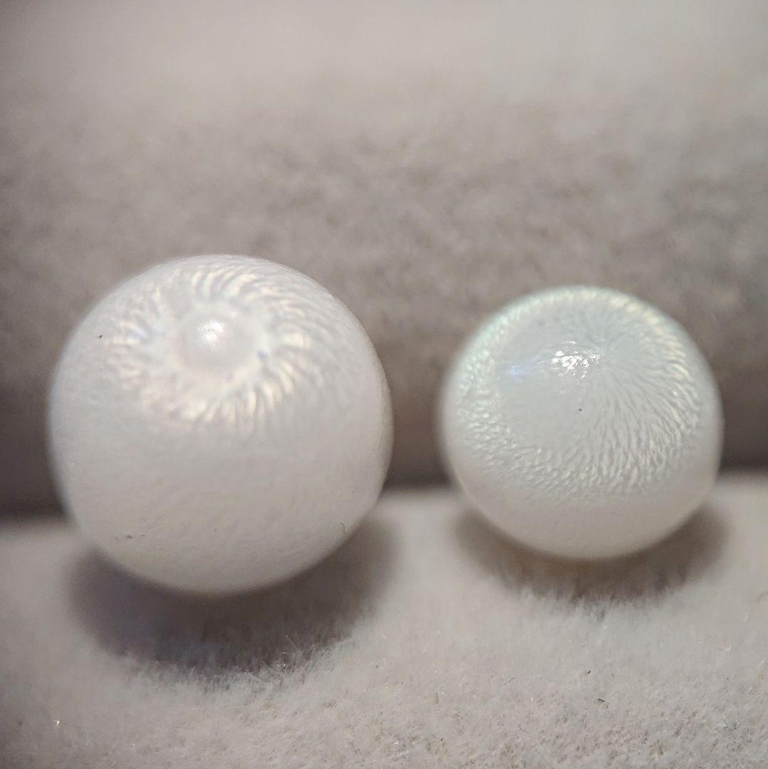 天然クラムパール／トリダクナパール（約1.9ct） 天然クラムパール／トリダクナパール（約1.9ct） - メルカリ