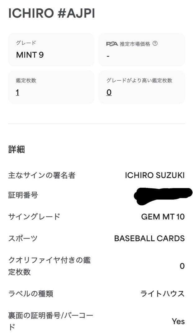 2枚セット