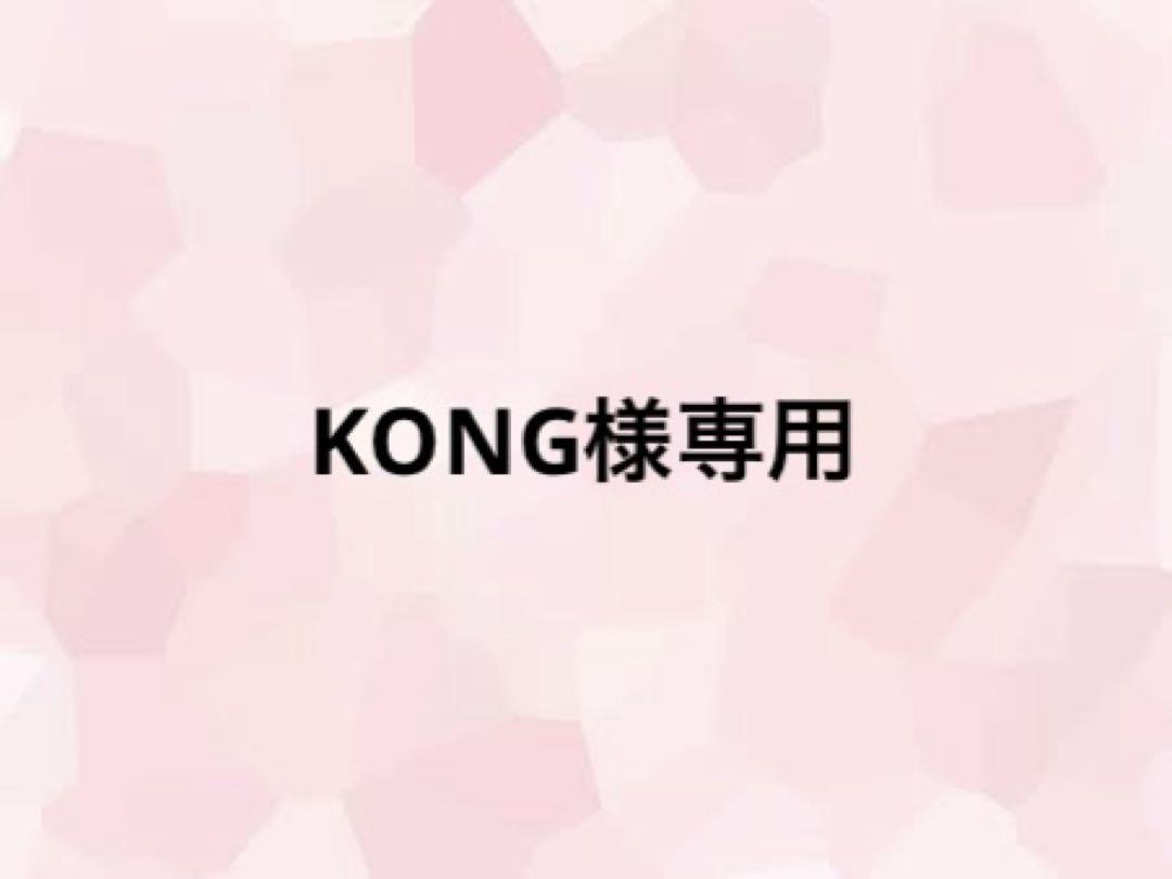 KONGページ