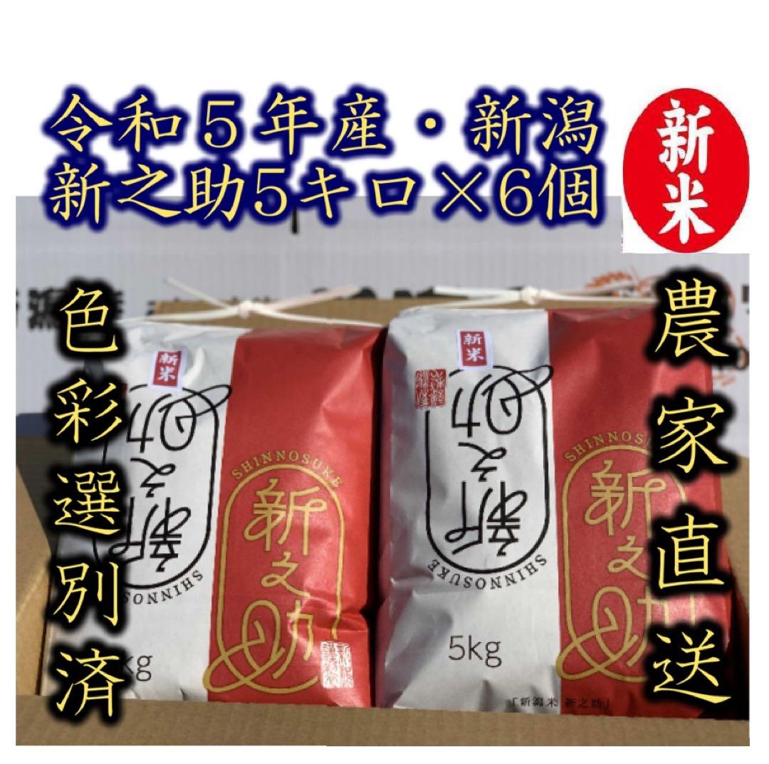 新米・令和5年産　新潟　新之助　白米5kg6個★農家直送★色彩選別済17