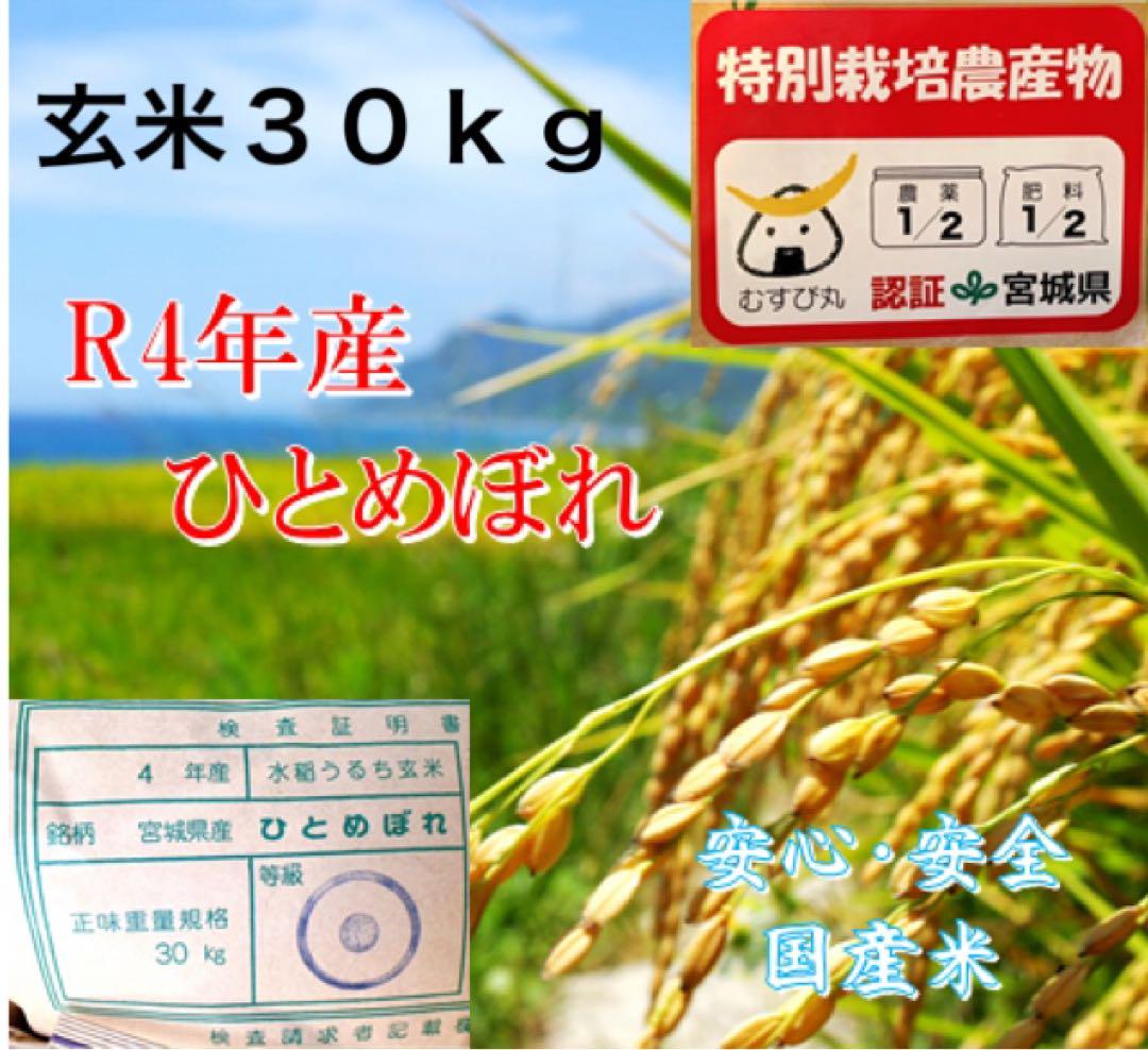 令和4年 宮城県産 ひとめぼれ 環境保全米 1等米 30kg お米