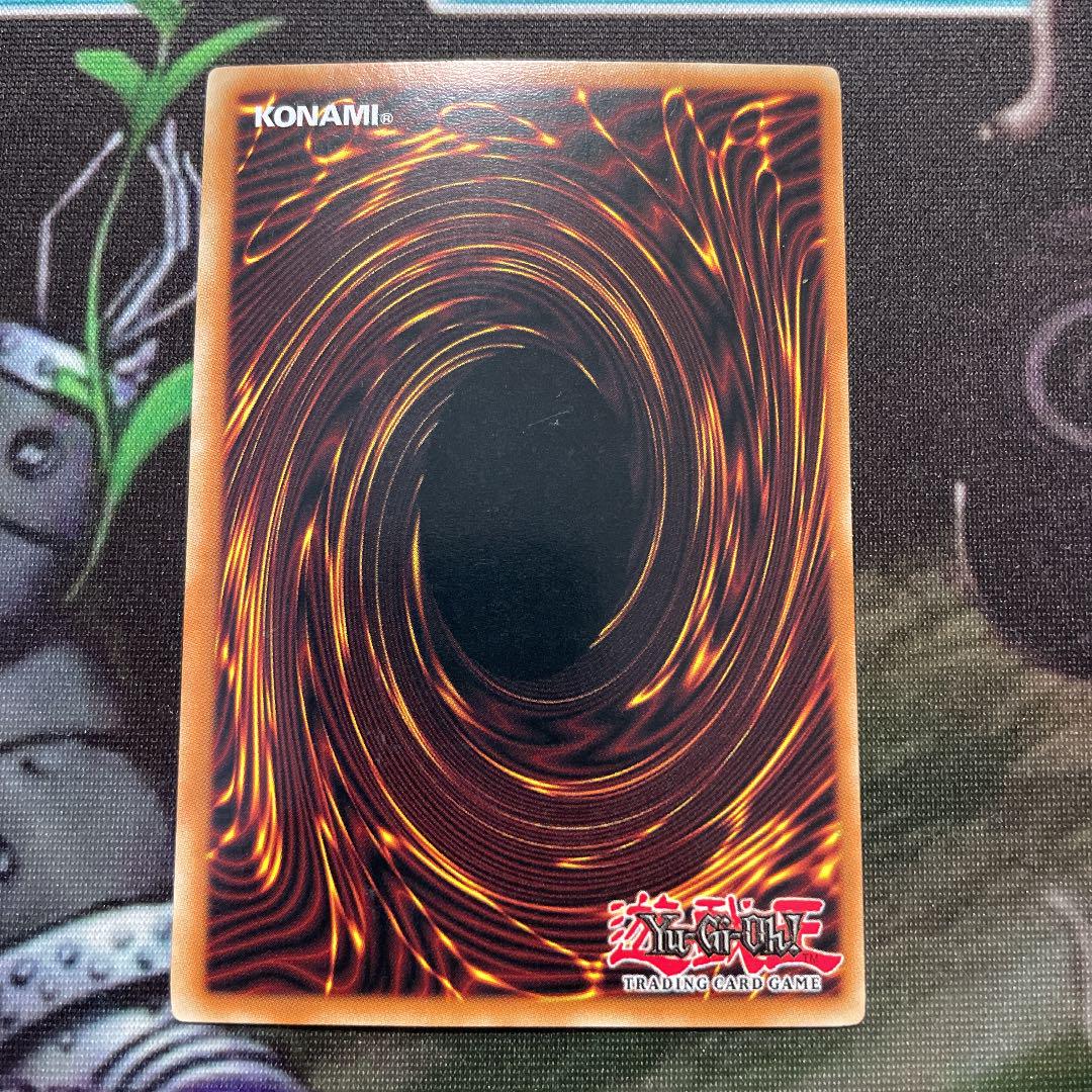 正規店お得 遊戯王 ブラックローズドラゴン zpLST-m47566412882 英語版 豊富な大人気