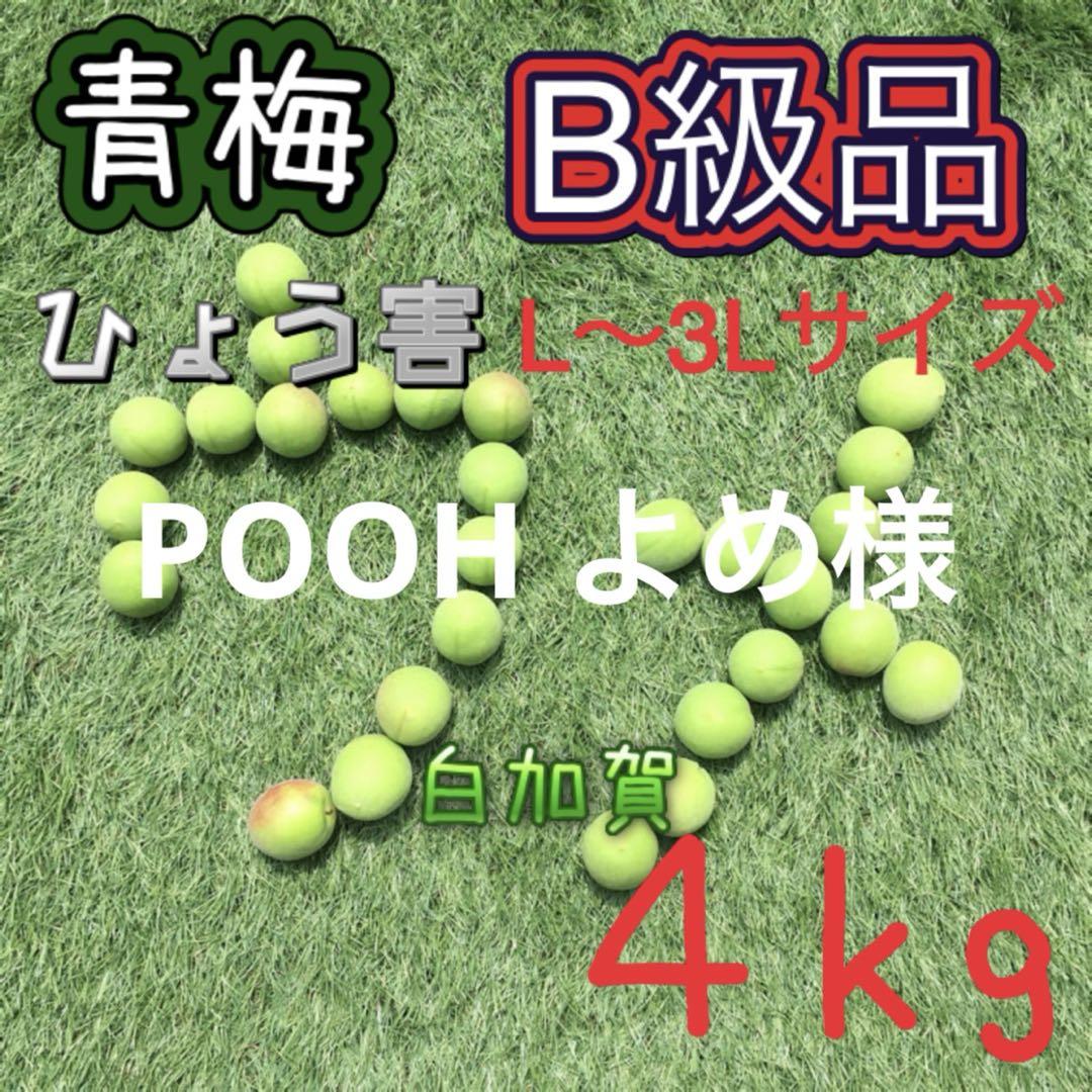 17 青梅　雹害B級品　L〜3Lサイズ　10キロ
