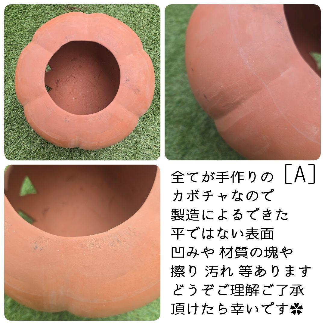 ✿ あさとん様ご専用ページです ✿ 宜しくお願いいたします( *´﹀` *)