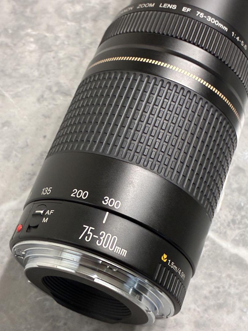 ⭐️美品⭐️Canon EF 75-300mm F/4-5.6 II USM