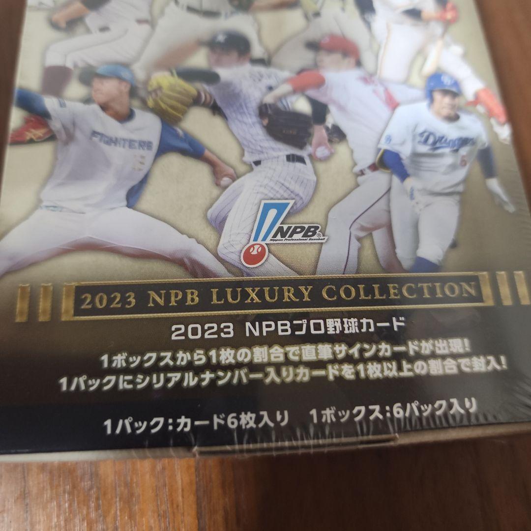 2025 NPBプロ野球カードLUXURY