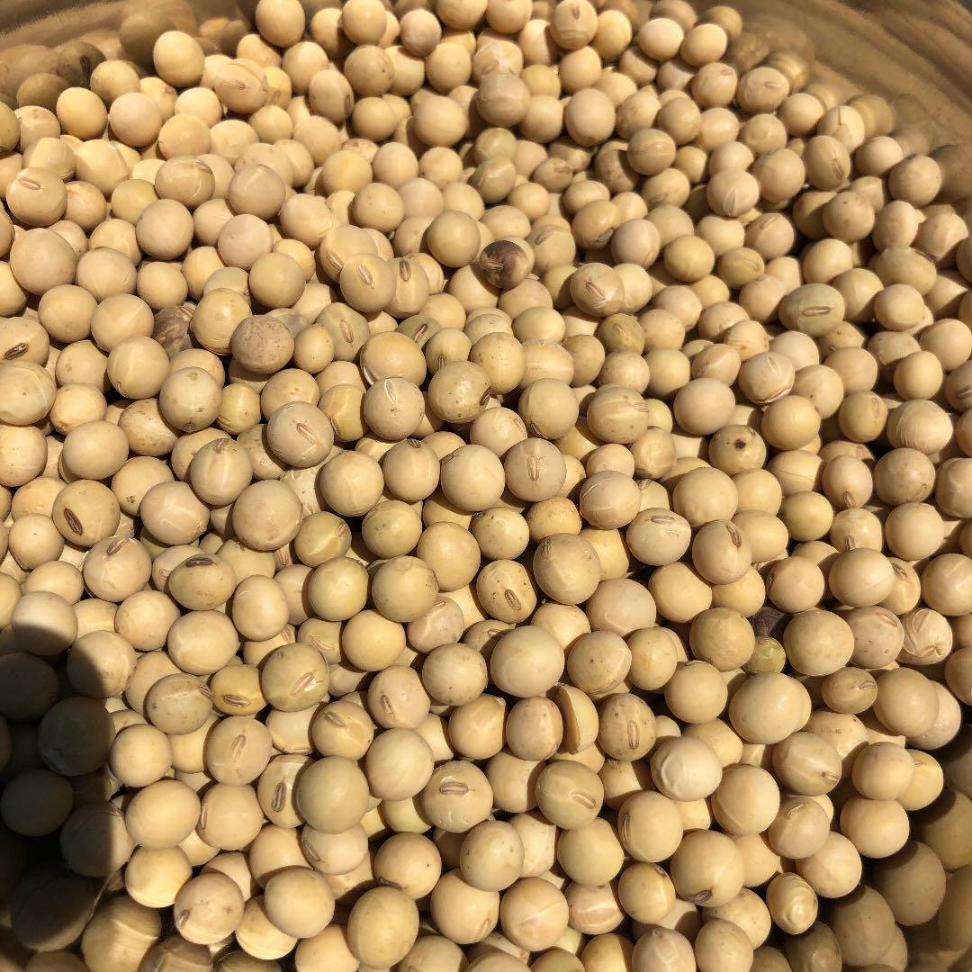 mimi☆様専用❗️きな粉追加分❗️ 日本製 adoraspa.ca