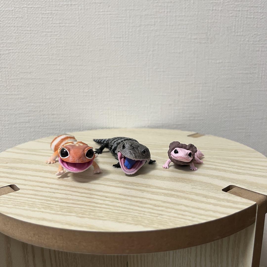 トカゲ フィギュア 3種セット( ニシアフ レオパ アオジタ )