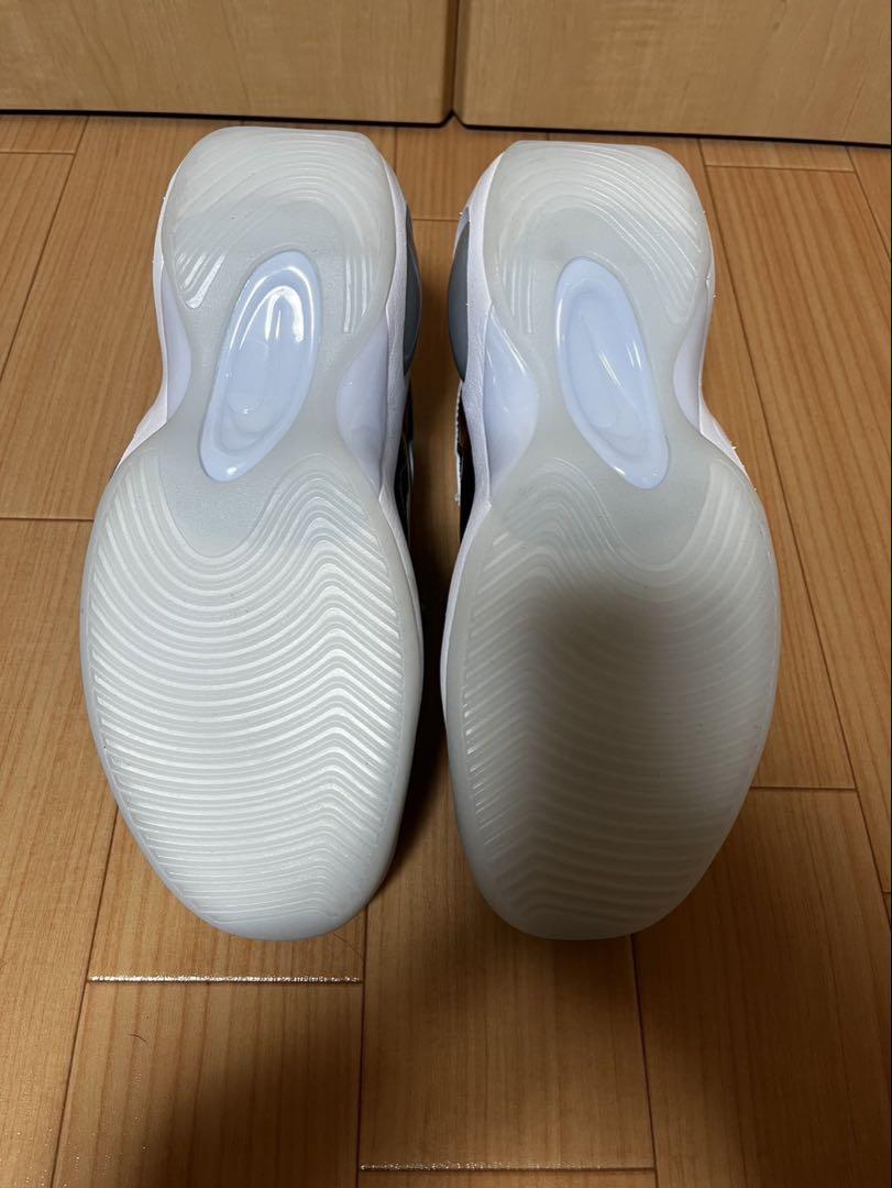 新品未使用タグ付き　NIKE エアズームフライト95 29cm
