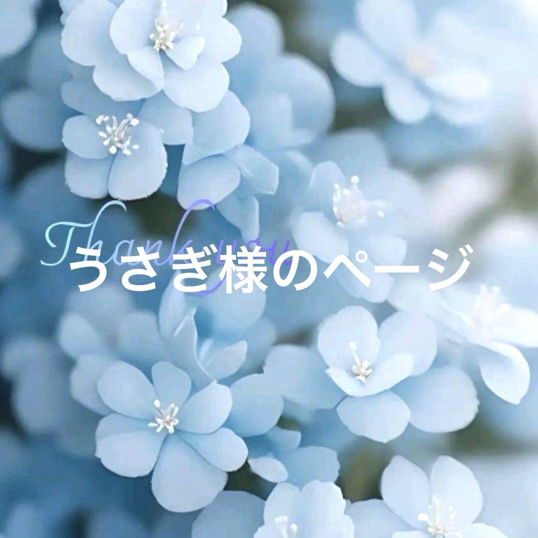 ◆ハーバリウム　オーダー専用ページꕤ︎︎·͜·