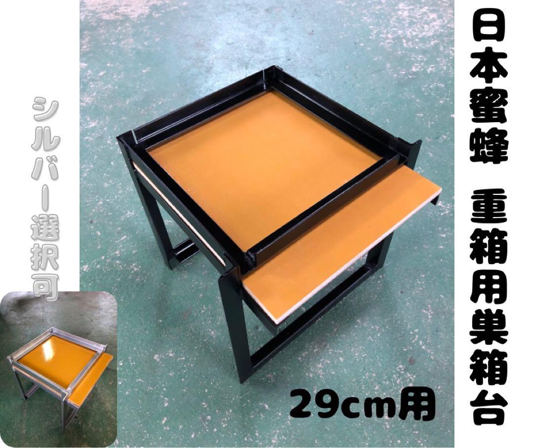 安いよ コスタリカ産 アウリガヌスキンイロコガネ 25mm 標本