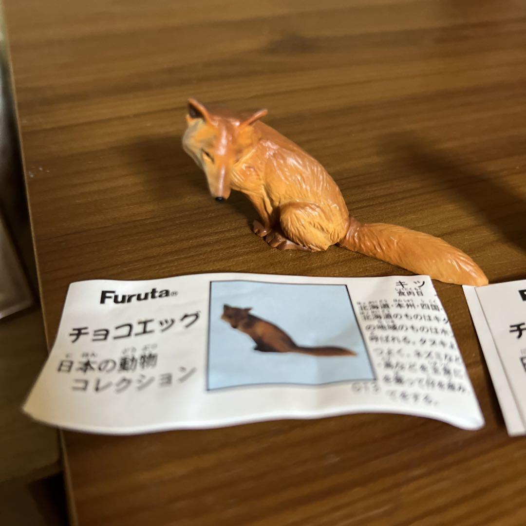 チョコエッグ／日本の動物 第３弾 5点 Amazon | チョコエッグ 日本の動物 第3弾 049 アカメ 未使用